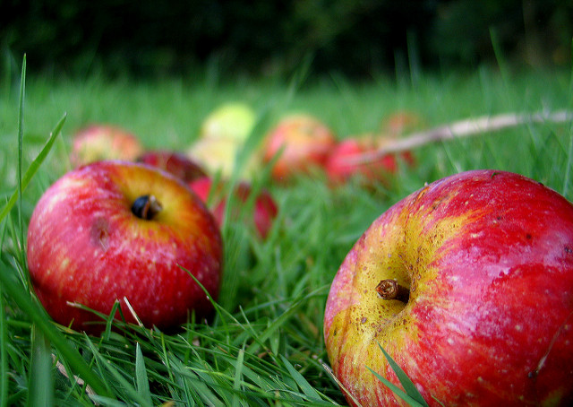 Wassailing